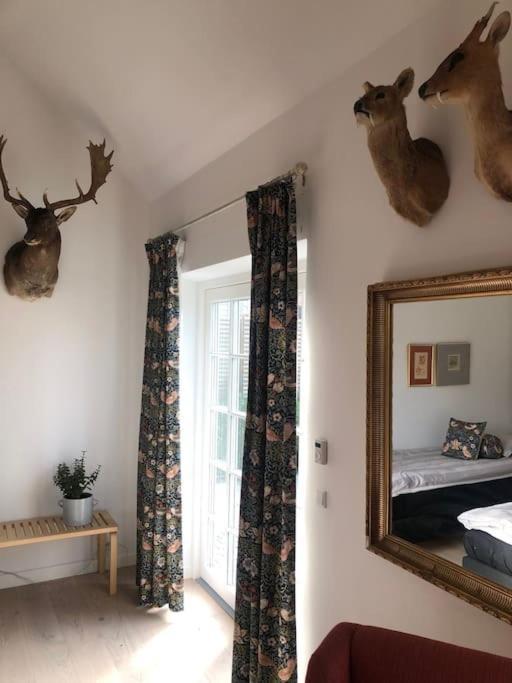 Cozy, Quiet Guest House Perfect For Business Or Pleasure Hillerød Exterior foto