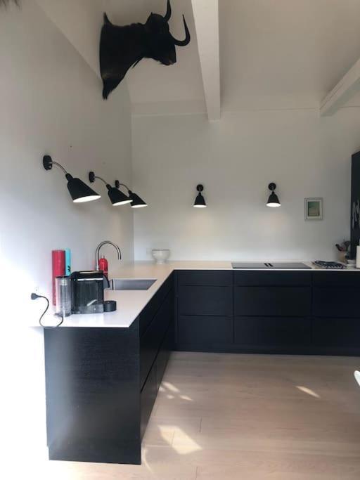 Cozy, Quiet Guest House Perfect For Business Or Pleasure Hillerød Exterior foto