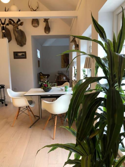 Cozy, Quiet Guest House Perfect For Business Or Pleasure Hillerød Exterior foto