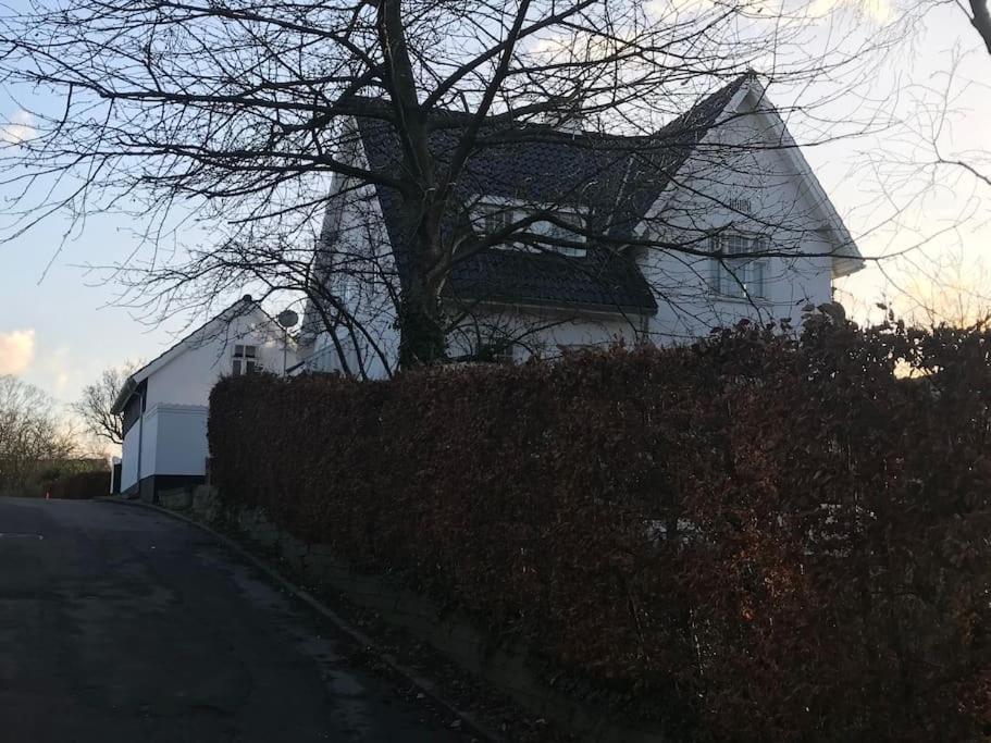 Cozy, Quiet Guest House Perfect For Business Or Pleasure Hillerød Exterior foto